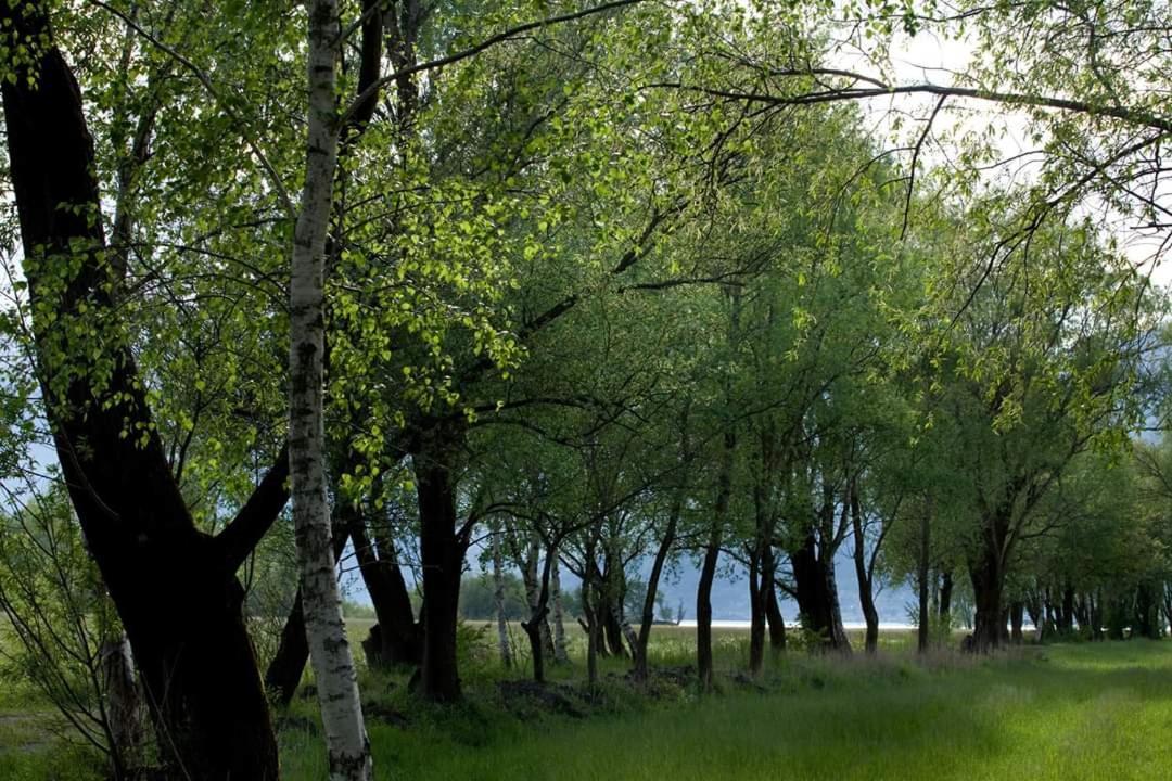 Cascina Borgofrancone Aparthotel Gera Lario Exterior foto